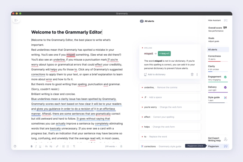 Grammarly Interface